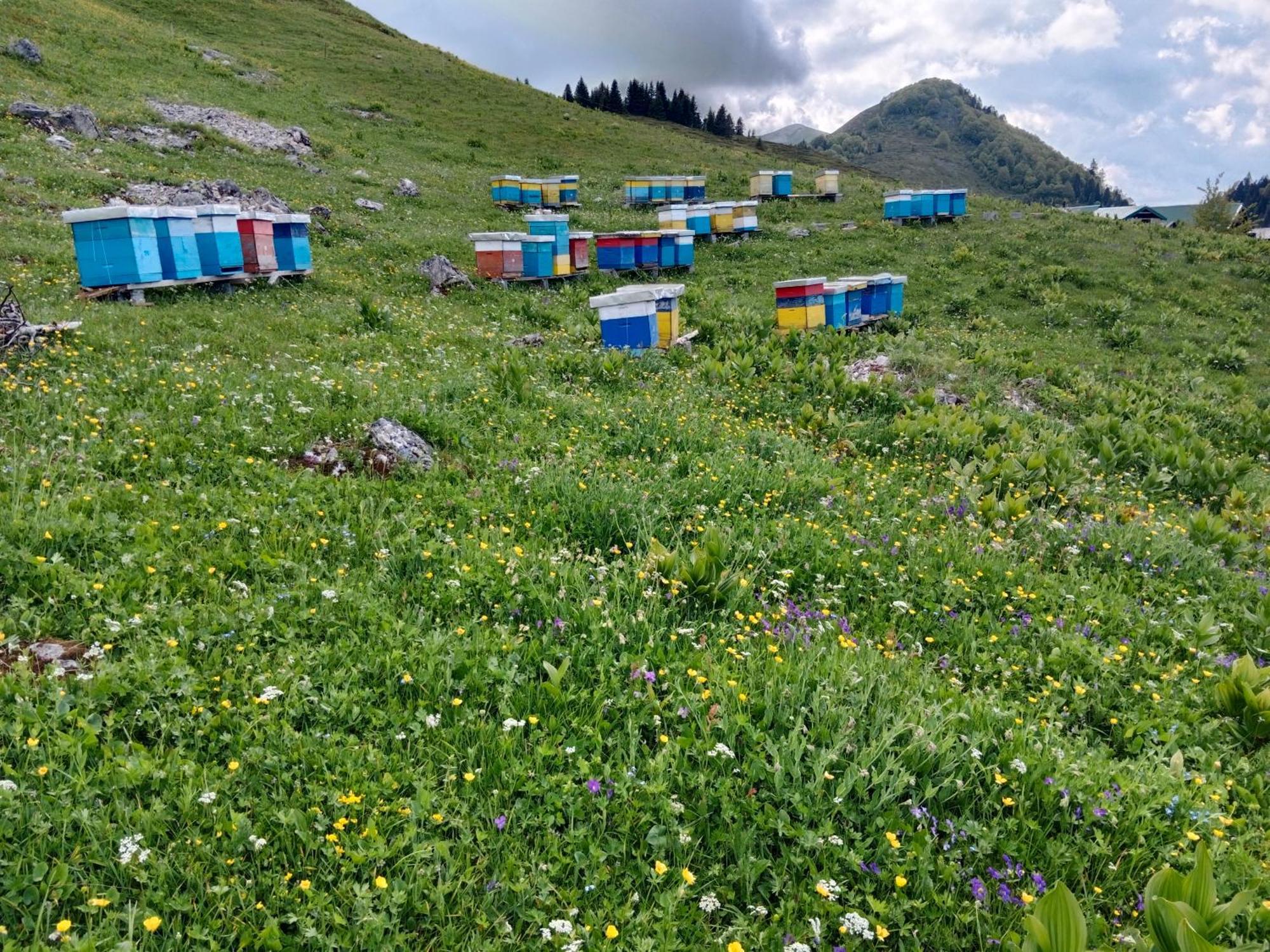 Katun Siska Medna Dolina Villa Berane Luaran gambar